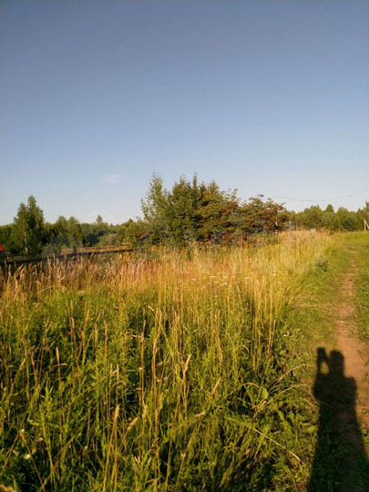 Участок 12,8 сот. (СНТ, ДНП)