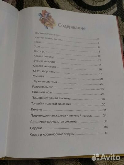 Тело человека книга