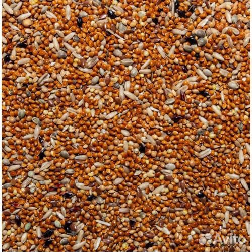 Корм для птиц