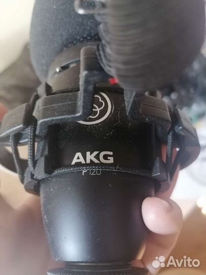 Студийный микрофон AKG p120