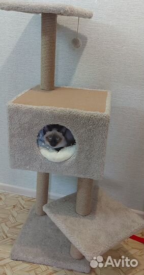 Дом для кошки с когтеточкой 120см