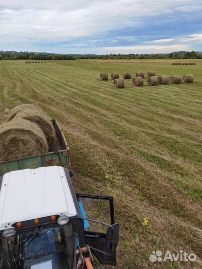 Сено в рулонах 2023 г