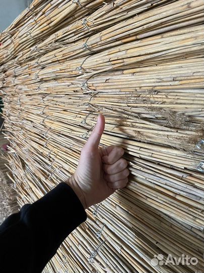 Камыш оптом с доставкой
