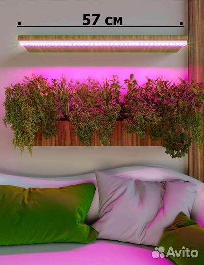 Фитолампа для растений