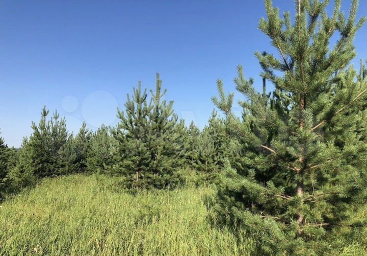 Участок 1,2 га (ИЖС)