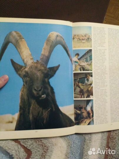 Книга - фотоальбом 