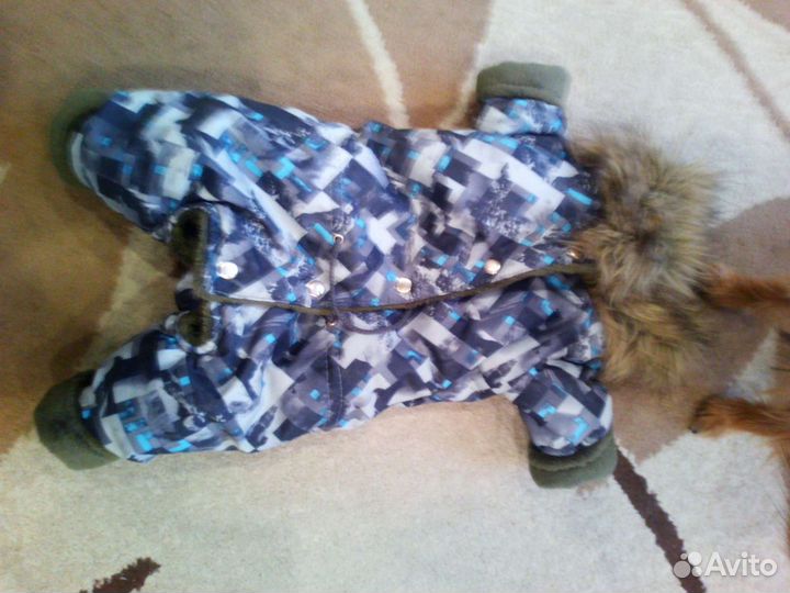 Комбинезон