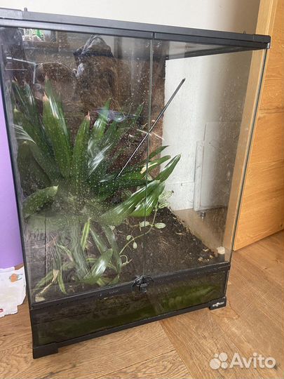 Террариум для рептилий бу