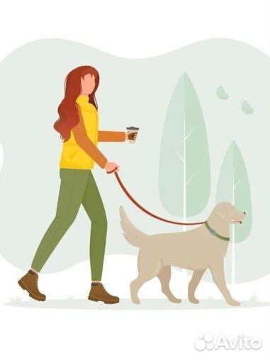 Выгул собак