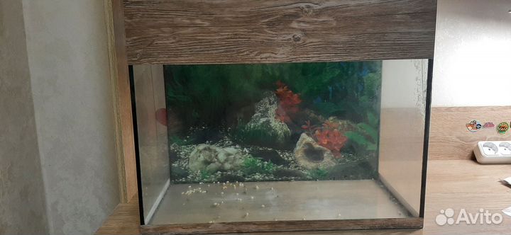 Аквариум