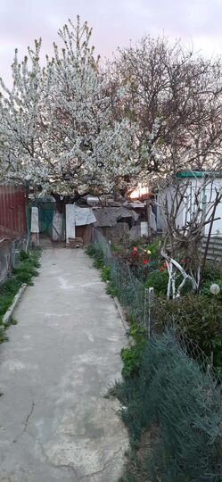 3-к. квартира, 75 м², 1/2 эт.