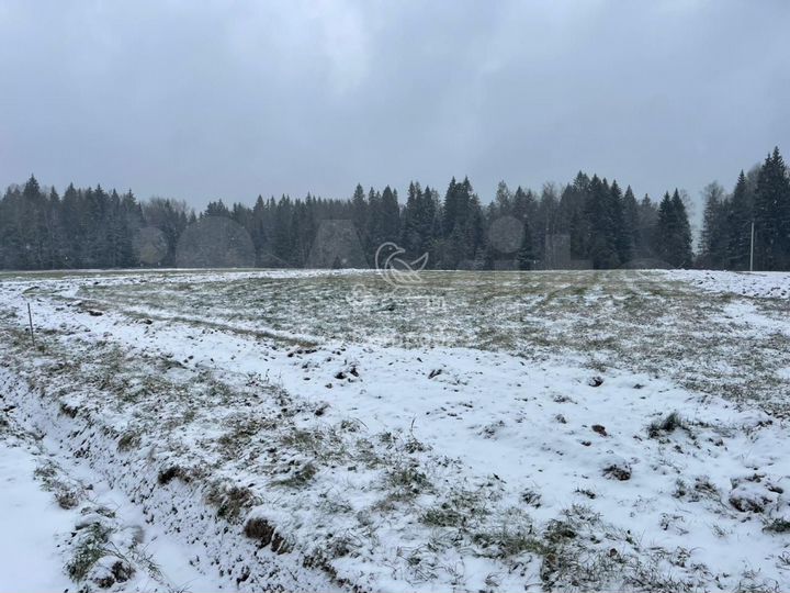 Участок 15,4 сот. (ИЖС)