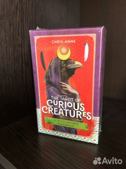 Tarot Curious Creatures - Таро Любопытных Существ