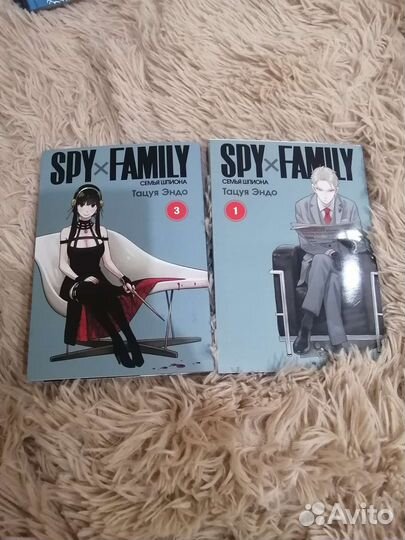 Книги Семья шпионов