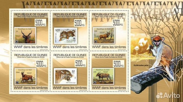 Гвинея, 2009. Фауна (мл+блок)