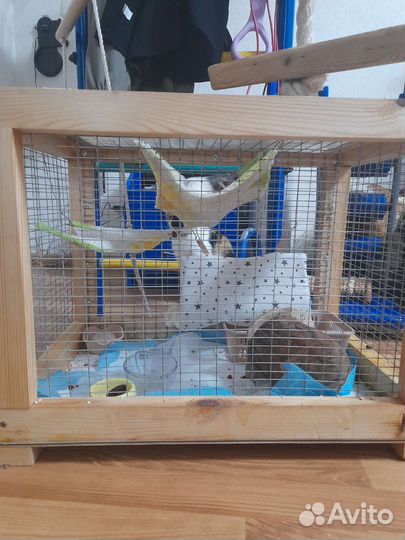 Клетка для животных