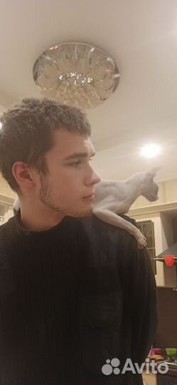 Репетитор из мгту по физике и математике