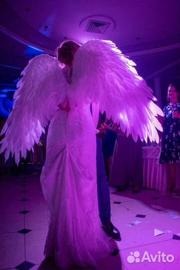 Крылья ангела аренда