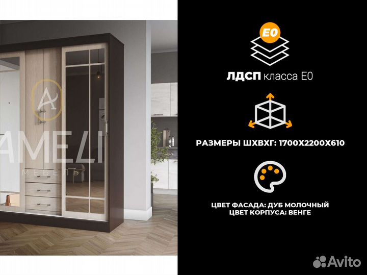 Шкаф купе с зеркалом в прихожую