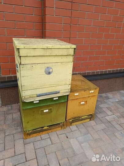 Пчелы, улья, медогонка, рамки. Пасека