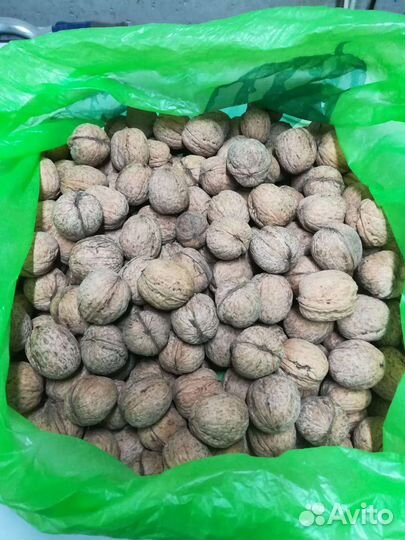 Грецкий орех