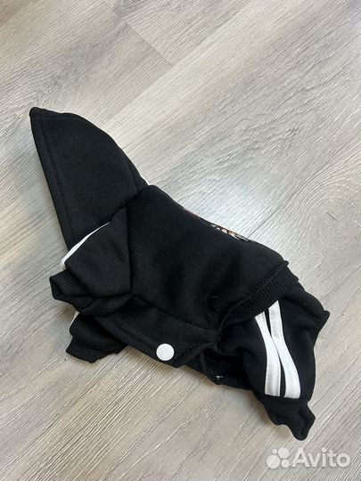 Одежда для собак мелких пород