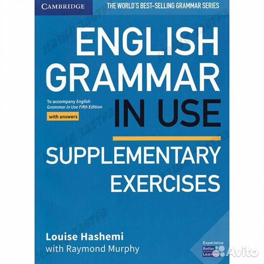 English Grammar in Use (Fifth Edition) Supplementa