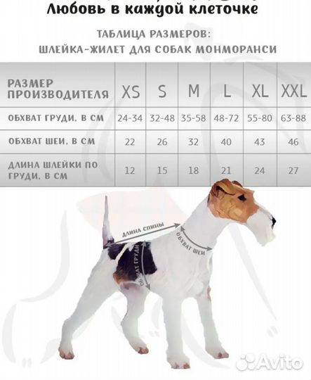 Шлейка, ошейник, когтерез