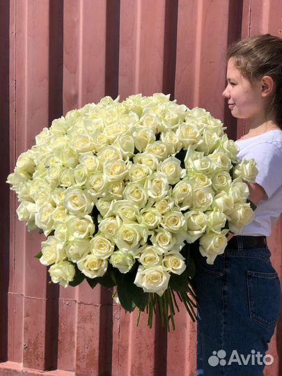 15, 21, 25, 35, 51, 101роза букет цветов доставка