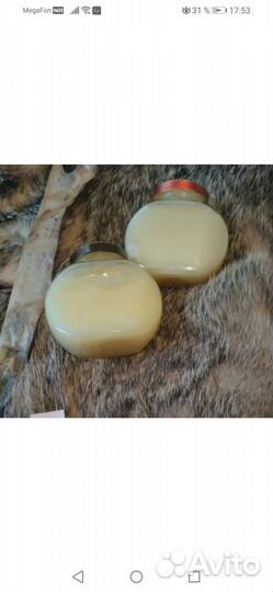 Барсучий жир от охотника