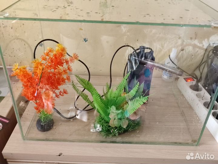 Аквариум