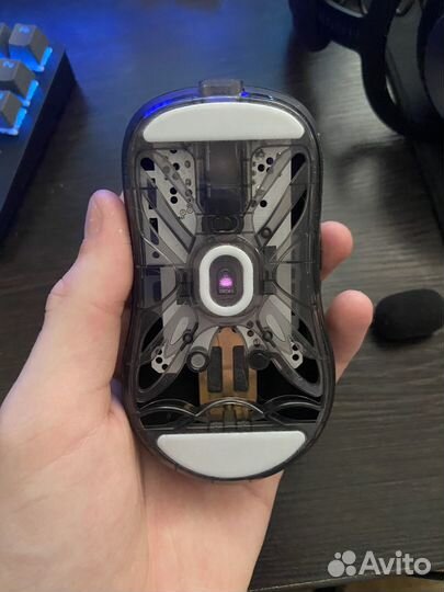Lamzu atlantis