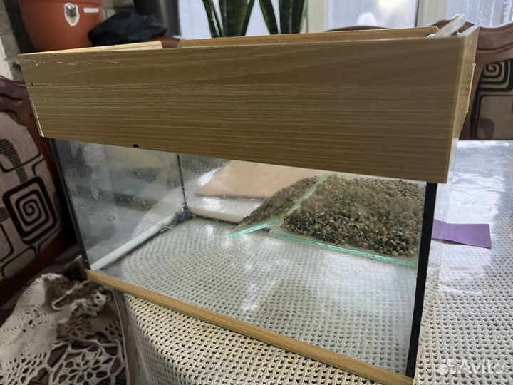 Террариум для красноухой черепахи