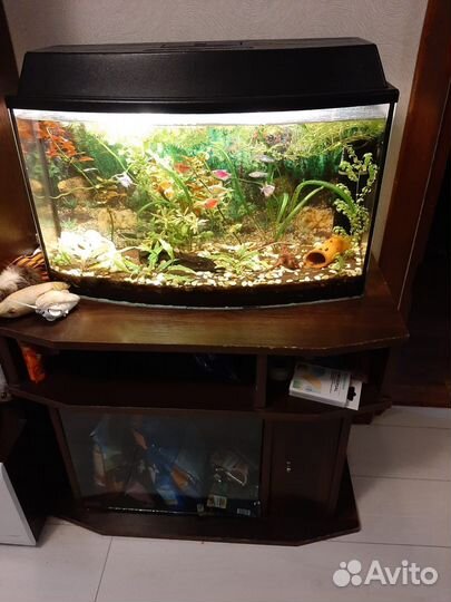 Аквариум с тумбой