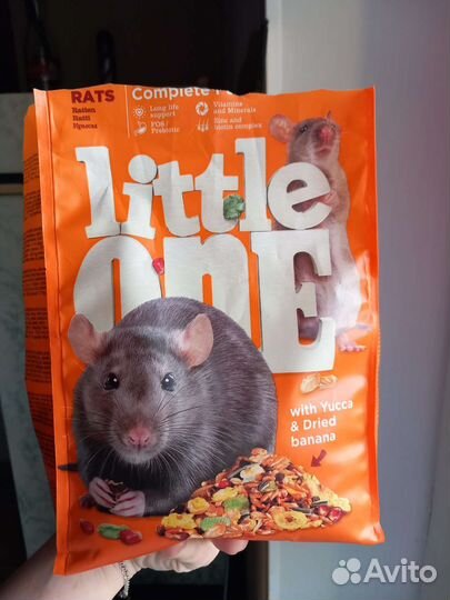 Крыса хаски