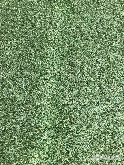 Искусственный газон бу