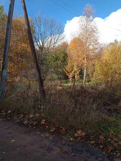 Участок 24 сот. (ИЖС)