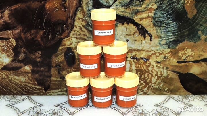 Грибной жир со смолой (живицей) ели