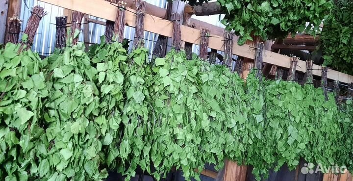 Веники для бани