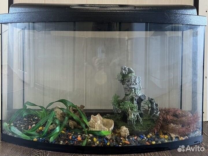 Аквариум