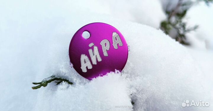 Адресник для животных