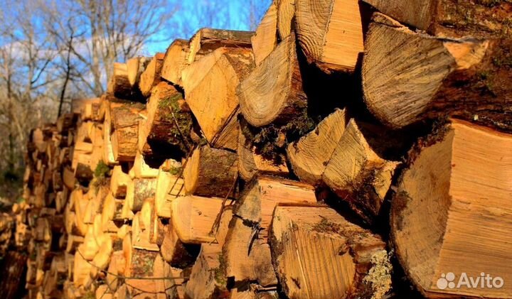 Береза для дров