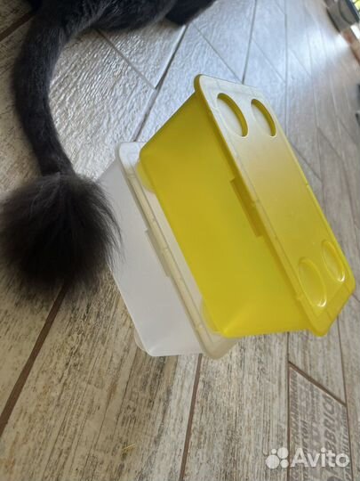 Контейнер с крышкой IKEA 2 шт