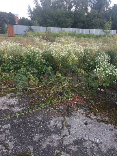 Участок 15 сот. (ИЖС)