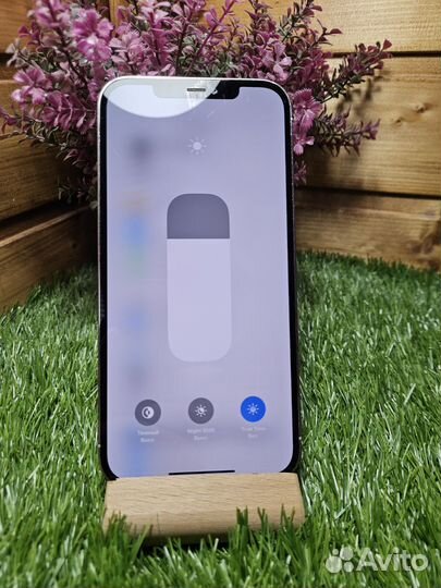 iPhone 12 Pro Max, 256 ГБ