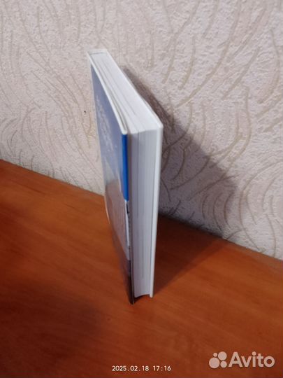 Примаков Евгений Восемь месяцев плюс