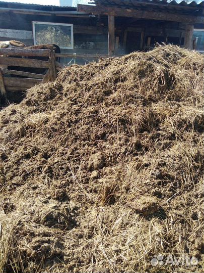 Продам навоз