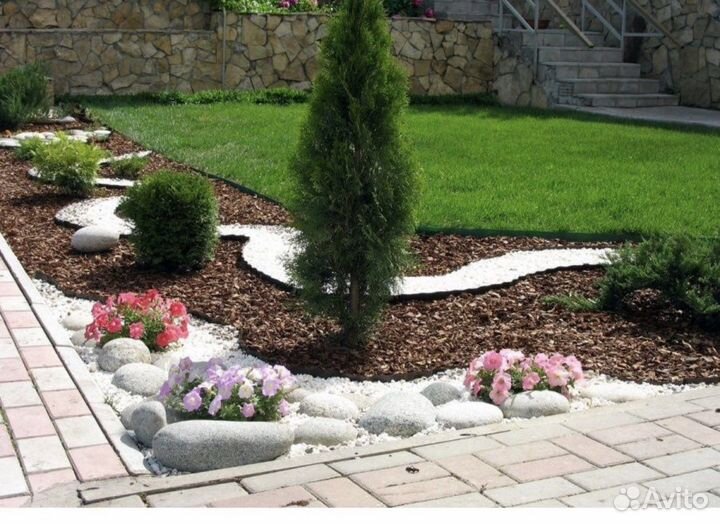 Кора лиственницы