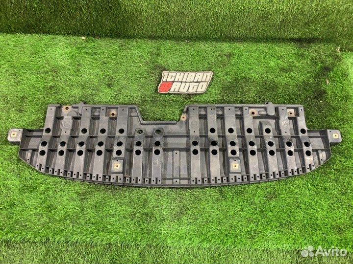 Защита бампера Toyota Wish ZGE25