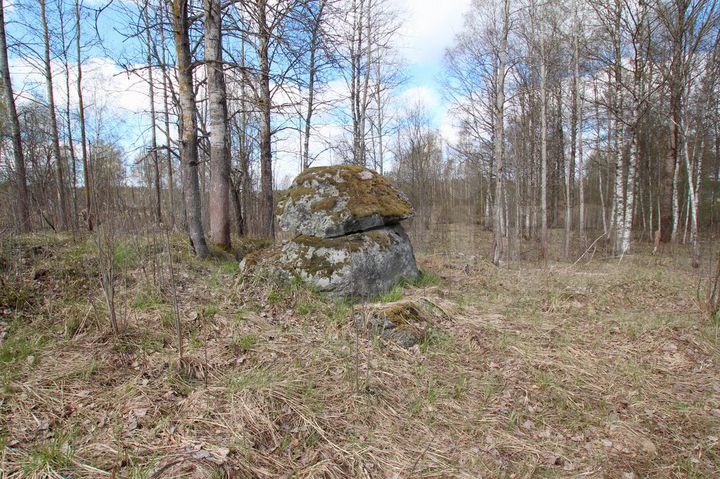 Участок 3,92 га (СНТ, ДНП)
